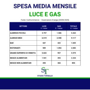 spesa media luce gas imprese